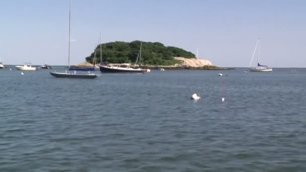 Une petite île bordée d'arbres avec des bateaux amarrés devant (2 de 3 ) — Video