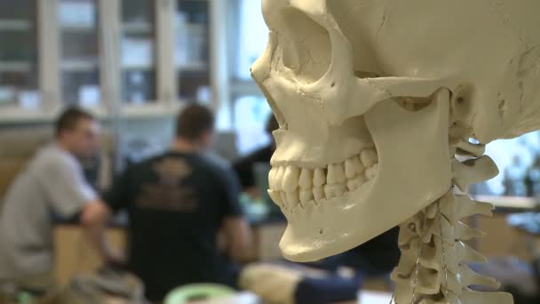 科学课中的骨架与中学生的背地 (1 的2) — 图库视频影像