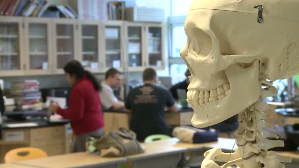 Esqueleto en la clase de Ciencias con estudiantes medios en el fondo (2 de 2 ) — Vídeos de Stock