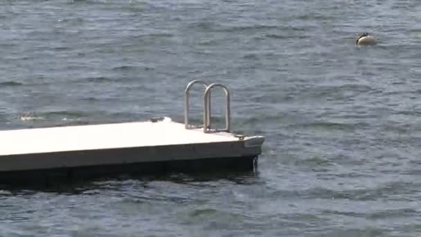 Dock in water (1 of 3) — Stock Video