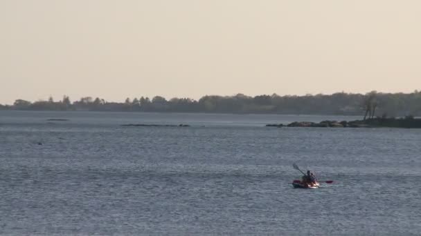 Due kayak in riva al mare (1 di 3) ) — Video Stock