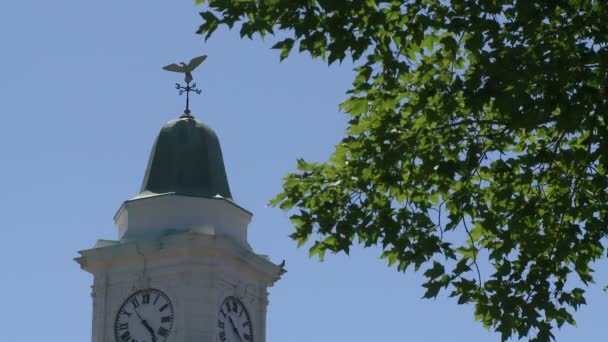 Torre do relógio com palheta meteorológica em cima — Vídeo de Stock