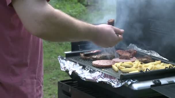 Människor picknick på en State Park. (3 av 4) — Stockvideo