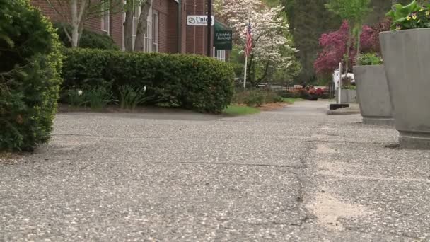 Vue depuis le trottoir au rez-de-chaussée (1 de 4 ) — Video