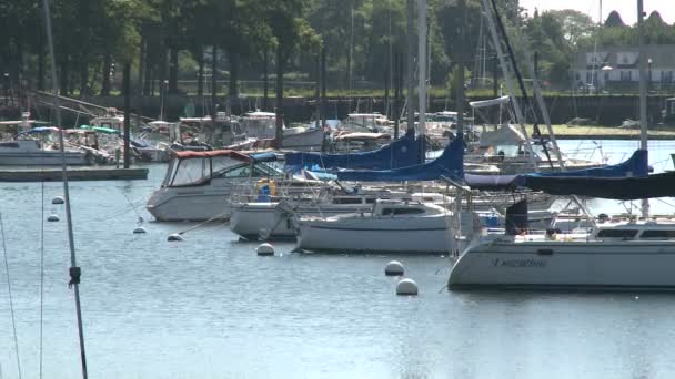 Kleine Segelboote im Hafen vertäut (2 von 4)) — Stockvideo