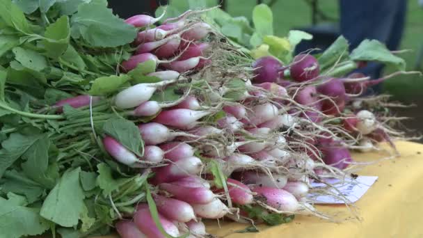 Wortelgewassen wordt weergegeven op een openlucht markt — Stockvideo