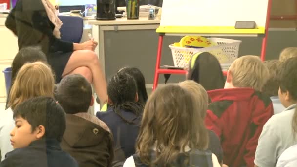 Teacher instructing grammar school kids sitting on the floor (1 of 2) — Stock Video