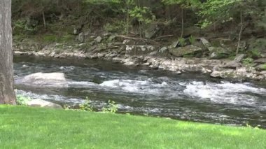 Görünümü alan (1 / 2 kısmını ve akış)