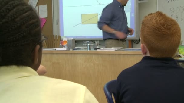 Professeur masculin devant la classe — Video