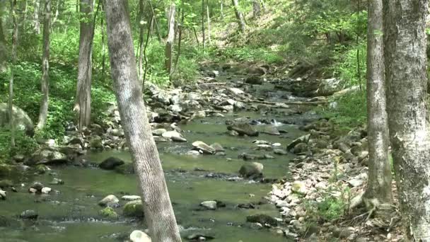 Arroyo lleno de rocas (7 de 7 ) — Vídeos de Stock