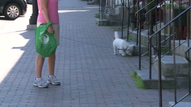 Femme debout avec petit chien en laisse . — Video