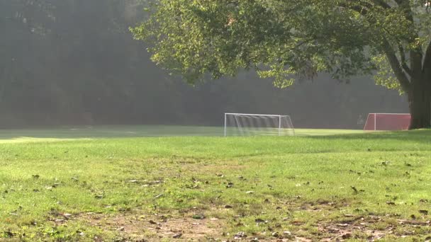 Ein Tornetz auf einem leeren Fußballfeld (1 von 2)) — Stockvideo