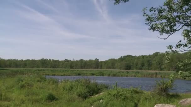 Avskilda river (4 av 4) — Stockvideo