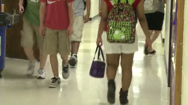 Estudantes do ensino médio que caminham pelo corredor (4 de 8) ) — Vídeo de Stock