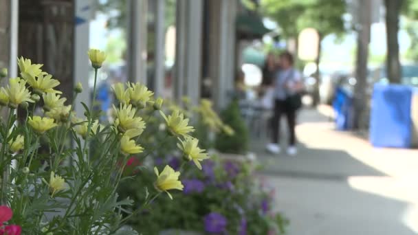 Blomlåda på trottoaren med shoppare i bakgrunden — Stockvideo