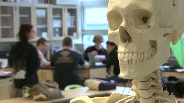 Esqueleto en la clase Ciencia (3 de 3 ) — Vídeos de Stock