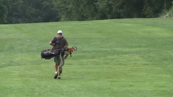 Golfçü fairway yürür — Stok video