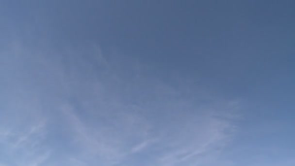 Blick vom Himmel auf ein Feld — Stockvideo