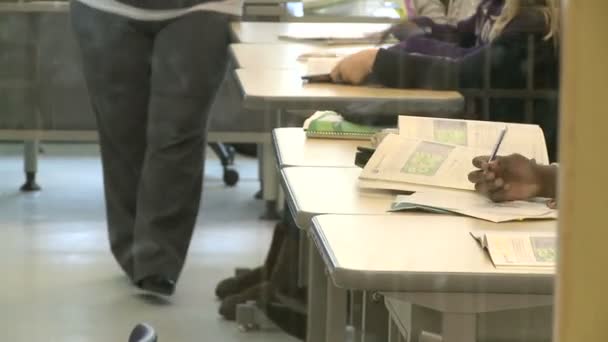 Estudiantes de primaria que trabajan en sus escritorios (1 de 5 ) — Vídeo de stock