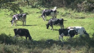 Mera alanlarına (6 / 11)