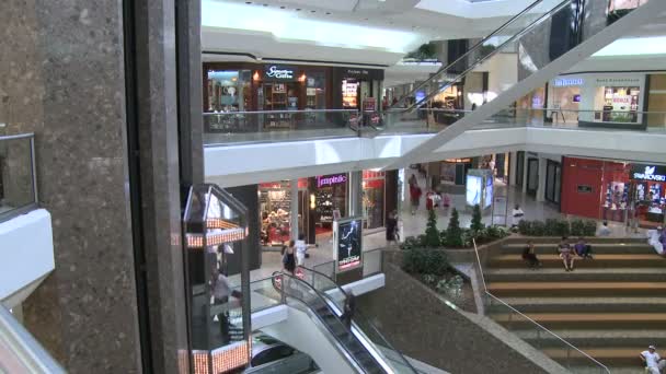 Покупатели в торговом центре возле эскалаторов и лифтов — стоковое видео