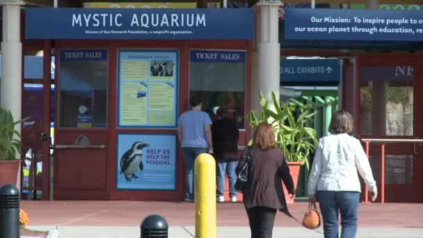 Mystic Aquarium ingang (2 van 6) — Stockvideo
