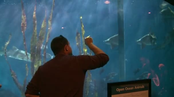 Emberek élvez nagy akvárium — Stock videók