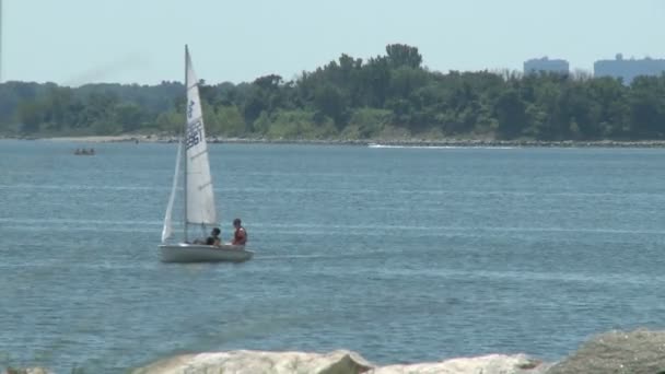 Zeilboten op de baai (2 van 8) — Stockvideo