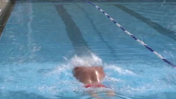 Svømmerunder i et olympisk basseng (2 av 3 ) – stockvideo