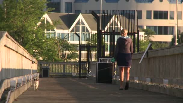 Woman walking dog along pier — Stock Video