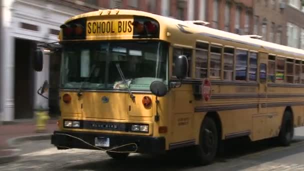 Autobusy szkolne na trasie (2 z 6) — Wideo stockowe