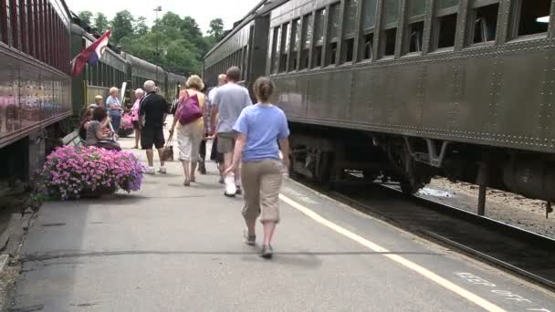 Persone che camminano a bordo del treno — Video Stock