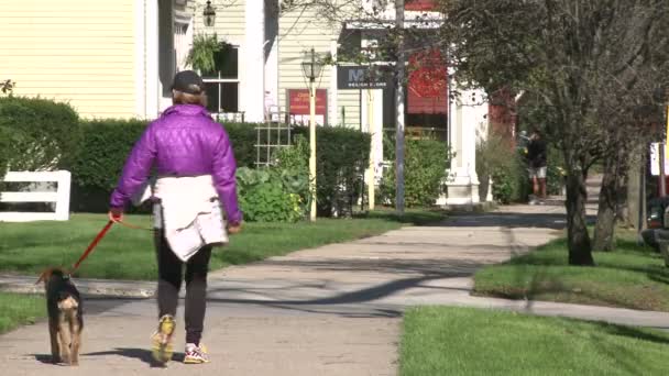 Man lopen zijn hond omlaag stoep (1 van 2) — Stockvideo