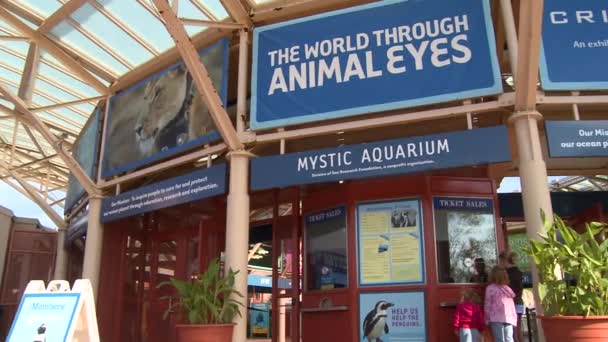 Mystic Aquarium ingang (1 van 6) — Stockvideo