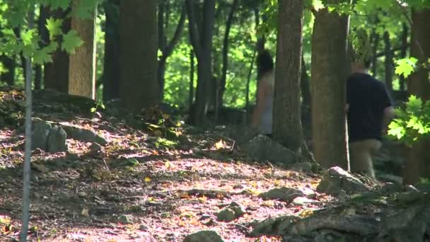 Ormanlık park üzerinden yürüyen insanlar — Stok video