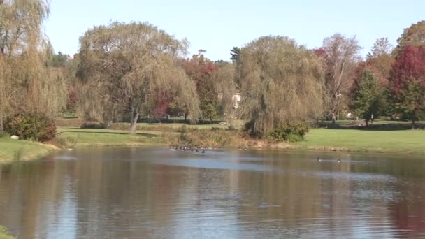 Lago de la ciudad pequeña (2 de 5 ) — Vídeo de stock