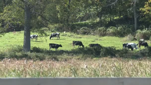 Pasture Grounds (3 de 11 )