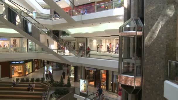 Acheteurs dans le centre commercial près des escaliers mécaniques et des ascenseurs — Video