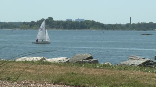 Sailboats on the bay (8 of 8) — Stock Video