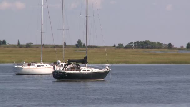 Вітрильники в стані спокою у воді — стокове відео