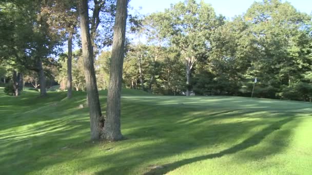 Ein Putting Green — Stockvideo