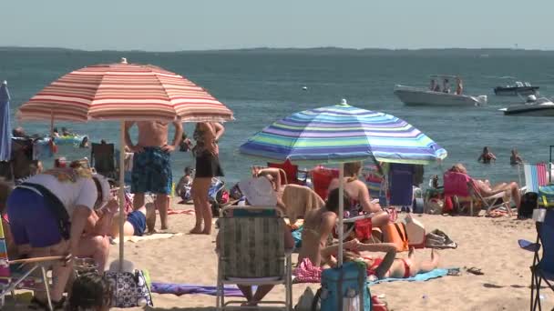 People sunbathing at a sandy beach — Stock Video