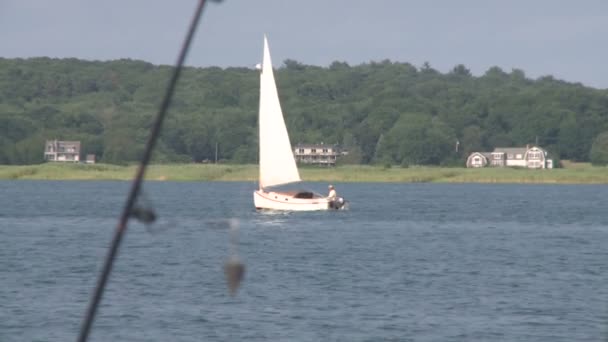 Grand views of the water (10 of 15) — Stock Video