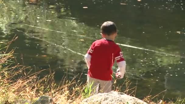 Jonge jongen vissen op lake — Stockvideo