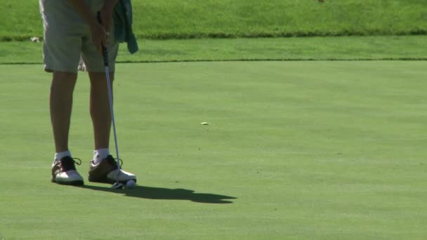 Homme golfeur tente 10 pieds putt — Video