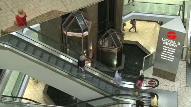 Acheteurs dans le centre commercial près des escaliers mécaniques et des ascenseurs — Video