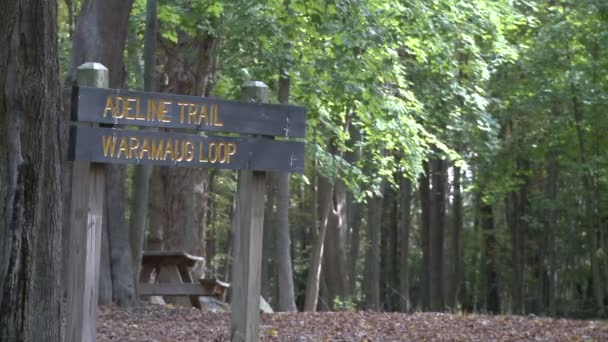 Trail leidt over brug (1 van 6) — Stockvideo