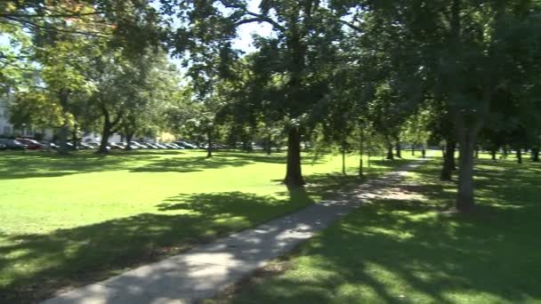 Promenade dans le parc 
