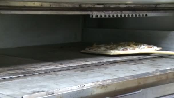 Lezzetli pizza yapma (10 / 10) — Stok video