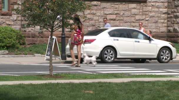 Mujer paseando perrito blanco (1 de 2 ) — Vídeo de stock